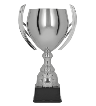 Puchar dla dzieci trofeum - nagroda w kolorze srebrnym BATIKAS