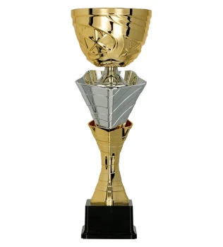 Puchar dla dzieci trofeum - nagroda w kolorze złoto - srebrnym