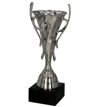 Puchar dla dzieci trofeum - nagroda w kolorze srebrnym