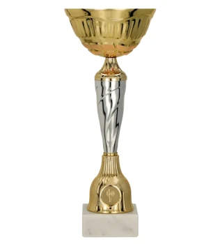 Puchar dla dzieci trofeum - nagroda w kolorze złoto-srebrnym