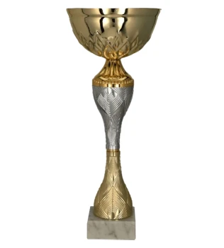 Puchar dla dzieci trofeum - nagroda w kolorze złoto-srebrnym