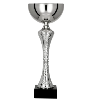 Puchar dla dzieci trofeum - nagroda w kolorze srebrnym