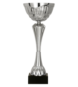 Puchar dla dzieci trofeum - nagroda w kolorze srebrnym