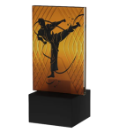 Statuetka karate Mini-Line Amber