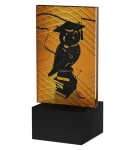 Prezent na dzień nauczyciela Statuetka szkolnictwo Mini-Line Amber