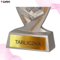 STATUETKA RE018 NAGRODA SZKOLNICTWO 2.png