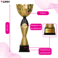 PUCHAR 4221B NAGRODA 3.png