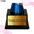 PUCHAR 7223 NAGRODA 9.png