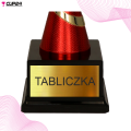 PUCHAR 7224 NAGRODA 9.png
