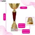 PUCHAR 9257A NAGRODA 1.png