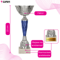PUCHAR 9258F NAGRODA 11.png