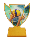 Trofeum metalowe - Siatkówka