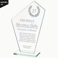 Statuetka na Rocznice Ślubu 1-99 Grawer Personalizowany Unikatowy Upominek J4