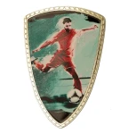 Tarcza plastikowa złota z nadrukiem - PIŁKA NOŻNA