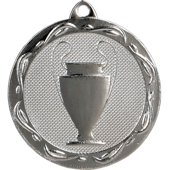 Medal srebrny ogólny z pucharkiem