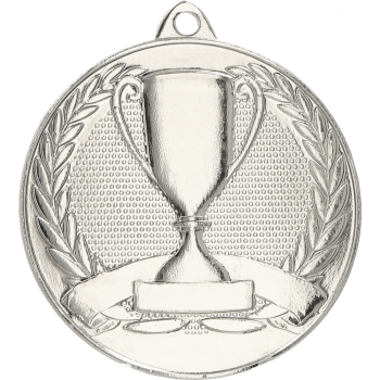 Medal srebrny ogólny  z pucharkiem