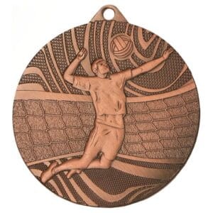 Medal brązowy - piłka siatkowa - medal stalowy