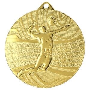 Medal złoty- piłka siatkowa - medal stalowy