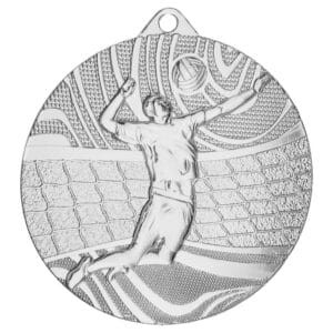 Medal srebrny - piłka siatkowa - medal stalowy