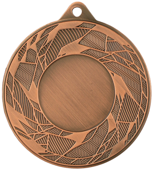 Medal brązowy ogólny