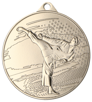 Medal srebrny - Karate