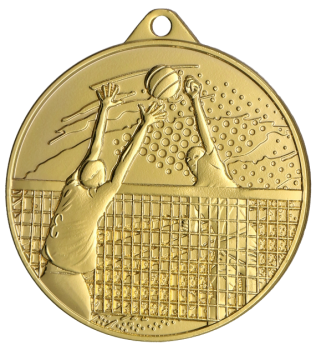 Medal złoty - Siatkówka