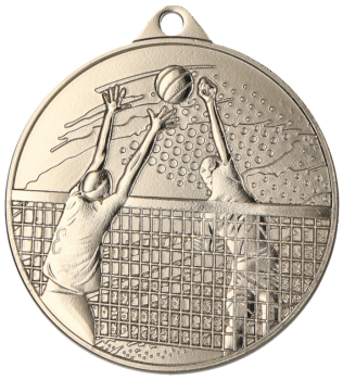 Medal srebrny - Siatkówka