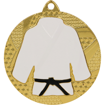Medal złoty - judo/karate