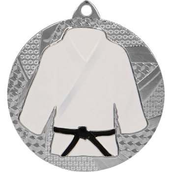 Medal srebrny judo/karate