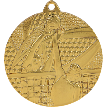 medal złoty- siatkówka