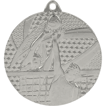 medal srebrny- siatkówka