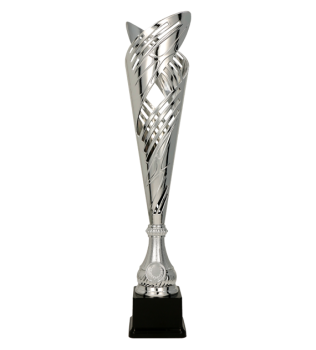 Puchar dla dzieci Trofeum plastikowy srebrny - OGÓLNY