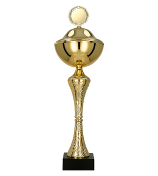 Puchar dla dzieci trofeum - nagroda w kolorze złotym