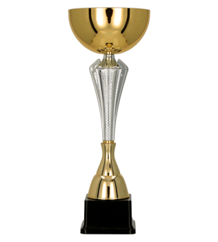 Puchar dla dzieci trofeum - nagroda w kolorze złoto-srebrnym