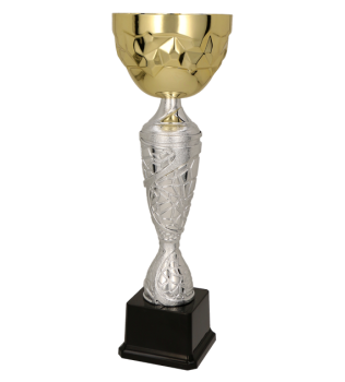 Puchar dla dzieci trofeum - nagroda w kolorze złoto-srebrnym GEDRYT