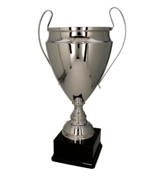 Puchar dla dzieci trofeum - nagroda w kolorze srebrnym T-S