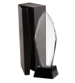 C043_31.png